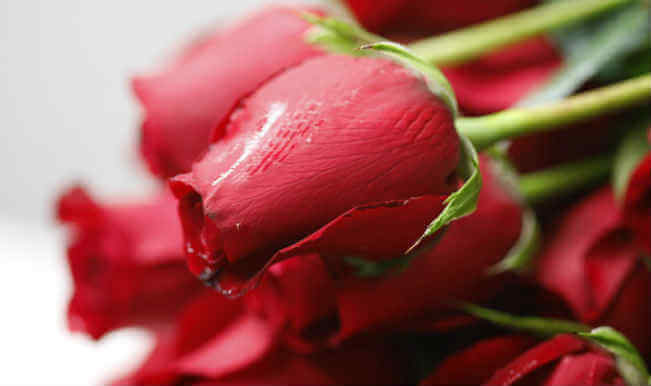 Rose-Day-Photos-12